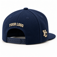 Casquettes Snapback Performance Personnalisées en Gros, Casquettes de Baseball Structurées à 6 Panneaux, Couronne Haute, Visière Plate, Broderie 3D pour le Sport