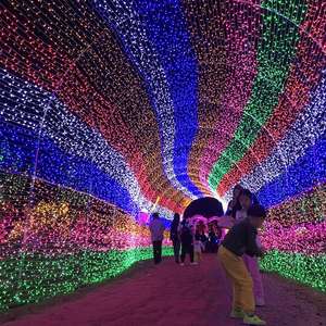 110v-220v Colorful Decorative Star Lighting Led <b>Light</b> Strip for <b>Christmas</b> Weddings Festivals Outdoor With Control - Product Image 3