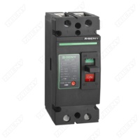 2P 500V 65A 80A 100A 125A אמיתי DC עבור פנלים סולאריים סוללה