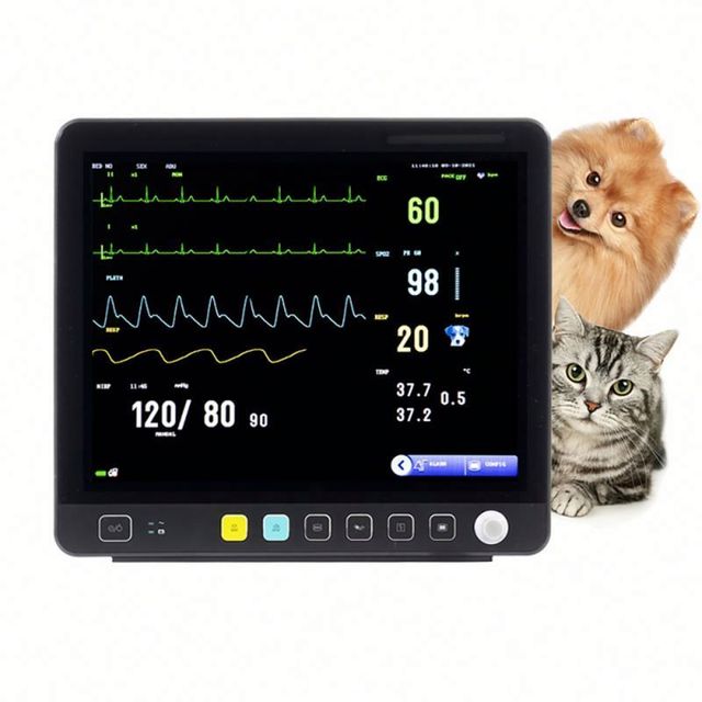 Veterinary ECG Monitor 15 Inch Multiparametro Veterinarios Capnografo Vet Monitor for Pet Clinic Use