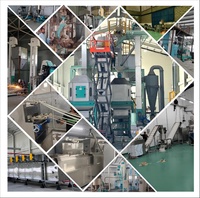 Machine automatique de fabrication de croquettes pour chiens de haute qualité, extrudeuse, ligne de production d'aliments secs pour chats, animaux de compagnie et poissons