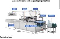 Ligne d'emballage automatique de boîtes de biscuits et gâteaux avec robot Palettiseur de ramassage automatique