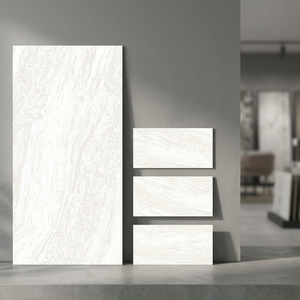 Vega Aqua Carving Porcelain Tiles 600x1200mm <b>Matte</b> Texture Surface for Modern Home Interiors - Product Image 6