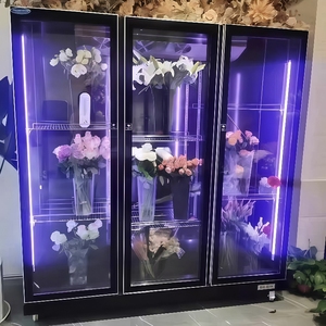 Arredamento Refrigerato Personalizzato per Fioristi - Espositore Refrigerato con Scaffalature a Gondola per Interni di Negozi - Product Image 3