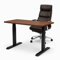 Cadre de bureau assis-debout à double moteur homologué UL, base OEM de qualité commerciale pour bureau assis-debout robuste, capacité de 220 lb