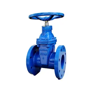 DIN3352 F4/F5 Cast Iron Flanged Resilient Seated Non Rising Stem Water Gate Valve