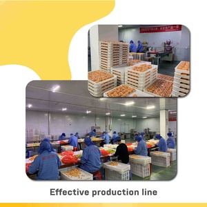 Diseño de monstruo apretar fruta jalea líquida mermelada caramelo dulce proveedor - Product Image 6