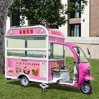 Tricycle Mobile Food Truck Chariots Popsicle Hot Dog Taco Limonade Grills Fast Snack Food Chariots