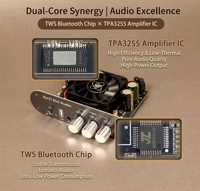 Módulo XY-T6001P T6001P, Placa Amplificadora de Audio Inalámbrica Monofónica de 600W, Chip Amplificador de Altavoz Dual Inalámbrico Verdadero TWS TPA3255