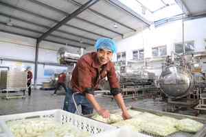 Huevos de <span class=keywords><strong>Codorniz</strong></span> Cocidos de Primera Calidad, Pelados y Envasados al Vacío, Huevo de <span class=keywords><strong>Codorniz</strong></span> en Venta - Product Image 6