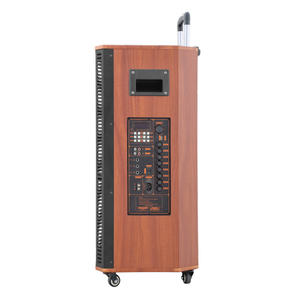Prix usine double 8 ''Woofer 3 voies Power X Public TWS professionnel Ktv karaoké Mini Mini haut-parleur haut-parleurs de fête de scène - Product Image 4