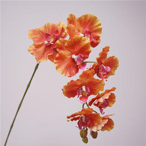 بيع بالجملة محاكاة عالية الجودة 9 رؤوس لمسة حقيقية زهرة اصطناعية فالانوبسيس أوركيد ل - Product Image 4