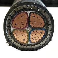 Cable de Alimentación con Aislamiento de PVC y Núcleo de Cobre de 4x120 mm² con Clasificación IP65 para Construcción, Resistente a la Intemperie y de Uso Versátil