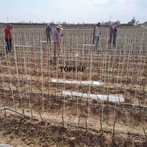 High Strength Tree Plant Fence FRP Fiberglass Garden Stake - Product Image 4