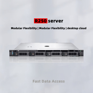 R250 ธุรกิจขนาดเล็กและเซิร์ฟเวอร์ ROBO |   โซลูชัน 1U ราคาประหยัดสำหรับการแชร์ไฟล์ การสำรองข้อมูล และการจัดการเว็บโฮสติ้งแบบน้ำหนักเบา - Product Image 6