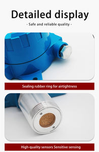 Aikesi Gt-gnd20 Sabit Gaz Kaçağı Dedektörü Endüstriyel/laboratuvar/ev tipi Yanıcı Gaz Dedektörü - Product Image 4