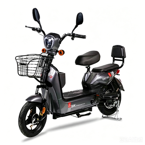 Mass Production Cheap Price Shockproof Comfort Backrest High Bright LED Headlight Anti Rust Metal Basket City Use E-Bike LY-S25 - Product Image 2