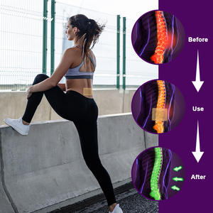 Patchs de soulagement des douleurs corporelles pour le dos, les épaules et les genoux - Product Image 4