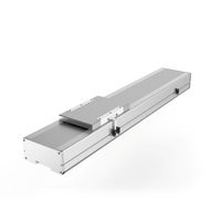 Module linéaire à vis à billes NICE BBF17 pour machine-outil CNC haute vitesse et haute précision, avec rail de guidage et roulement