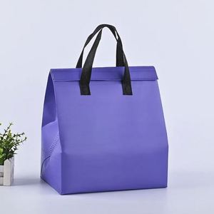 Bolsa Térmica de Tela No Tejida, Aislante, Grande, Portátil, Impermeable, para Almuerzo, Picnic, Comida, Bolsa Térmica de Tela No Tejida - Product Image 6