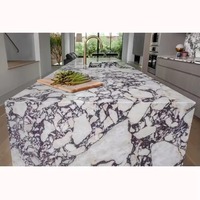 Comptoirs de cuisine préfabriqués en pierre de quartz Calacatta Viola 110 "X26"