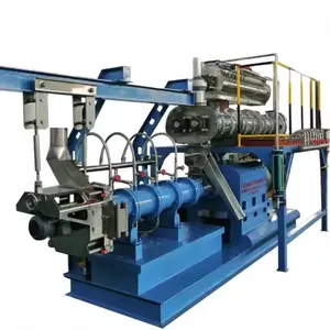 2t/h Pangasius feed twin screw extruder India the carp fish feed pellet machine fish feed processing machines small type
