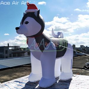 Cão <span class=keywords><strong>Husky</strong></span> Inflável Realista para Eventos, Propaganda & Decoração Animal Inflável <span class=keywords><strong>Husky</strong></span> Siberiano Inflável para Promoções - Product Image 1