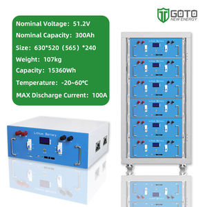 Литий-полимерный аккумулятор lifepo4 Goto 51,2 В, 200 А/х, 51,2 В - Product Image 3