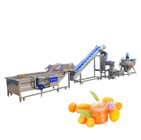 Multifunctionele apparatuur voor het maken van jam, productielijn voor mangopuree-concentratie, complete machines voor de verwerking van mandarijnenvlees