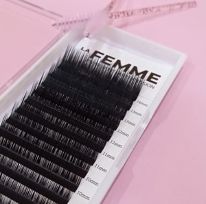 2025's best-seller de Lami Lash Extension Mix Tray - Product Image 2