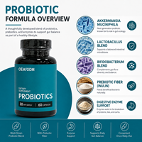 Capsules de probiotiques pour le bien-être digestif quotidien, soutien du microbiome intestinal, soutien antioxydant et immunitaire, Akkermansia - 60 capsules