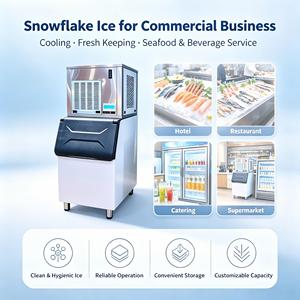 Machine à glace en flocons commerciale, machine à glace en flocons de qualité alimentaire, équipement de fabrication de glace pour cafétéria, bar - Product Image 1