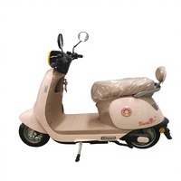Nouveau modèle 2026 – Trottinette électrique sportive pour adultes 1000W, 60 km/h, batterie au plomb-acide, 60V, cadre en acier