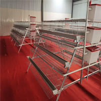 Nouvelle cage à poulets automatique à 3 niveaux en acier galvanisé à chaud de type A pour l'élevage de poulets sur le marché africain