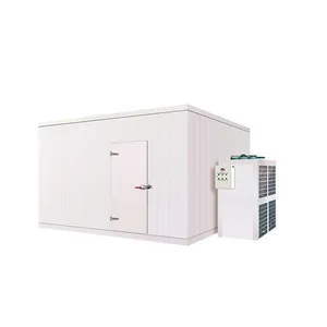 10 tons high and low temperature mortuary cold room cold storage room for meat