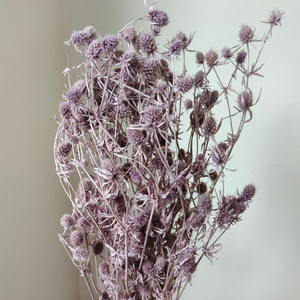Fleur de mélaleuca stabilisée pour arrangements domestiques, élégant matériau de bouquet pour cadeaux de remise de diplôme, de Pâques et du Nouvel An - Product Image 6