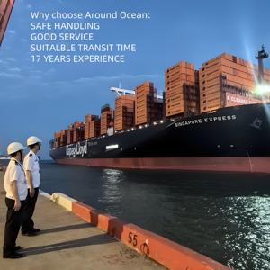 40HQ Envío de contenedor completo desde China a Bolivia Paraguay Uruguay-Precio barato Consolidación FCL LCL - Product Image 2