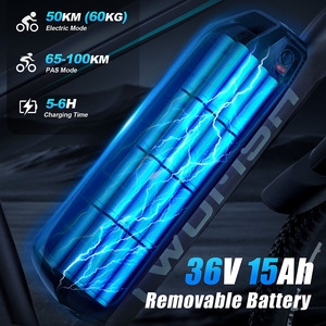 Vélo électrique TWOFISH TF-1 avec freins à disque, stock UK, 250W, 36V, 15Ah, 26 pouces, 25 km/h, autonomie maximale de 100 km - Product Image 3