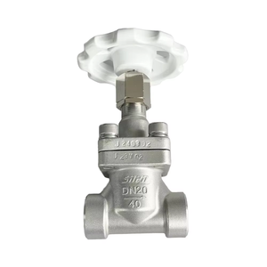 Válvulas de Cierre de Gas Criogénicas DJ61F40P DN20 para Almacenamiento a Granel - Product Image 1