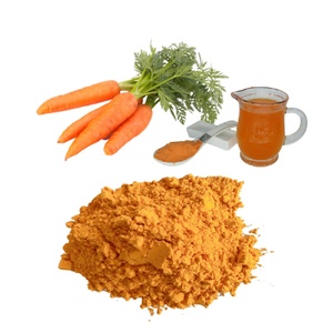 Jus de fruits et légumes biologiques Factory Daily Nutrition, mélange complexe instantané en poudre pour soutenir la santé et le système immunitaire - Product Image 4
