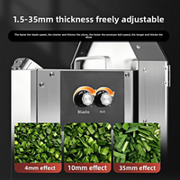 Coupe-fruits et légumes multifonctionnel électrique commercial, trancheuse artisanale en acier inoxydable pour oignons verts, haricots