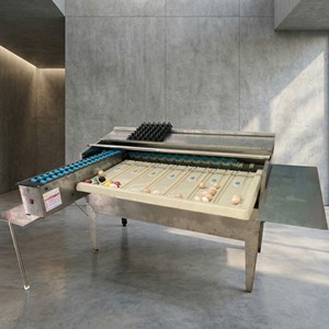 Máquina Clasificadora de Huevos de Aves de Corral JantaFarm Comercial de Alta Gama, 4500 Huevos por Hora, Equipo de Clasificación Automática de Acero Inoxidable - Product Image 1