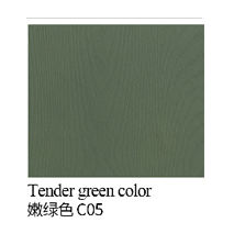 Couleur verte tendre