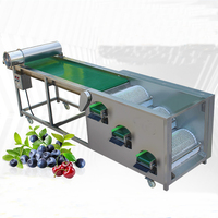 2024 Meest Populaire Kersen En Bluecherry Sortering Bosbessen Sorteerder Koffiebonen Maat Automatische Bosbessen Sorteermachine
