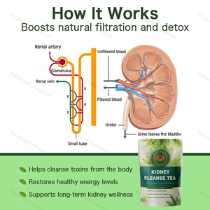 Oem תווית פרטית בריאות תה לגברים מכירה חמה חסינות לחיזוק אנרגיה-מזין כליות ניקוי תוספת צמחים - Product Image 6