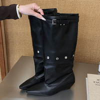 Nouvelles Bottes Hautes Femme Hiver à Bout Pointu, Style Tendance, avec Bride Détachable et Talon Compensé
