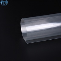 2025 nouvelle usine de haute qualité 4 * 8ft feuille d'ANIMAL FAMILIER en plastique transparent rigide