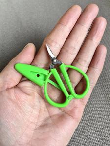 Hot bán cao chất lượng thép không gỉ Mini Sharp chủ đề sợi vải kéo với cap - Product Image 5