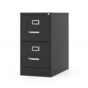 Mobilier de bureau en acier 2 tiroirs armoire de rangement pour documents classeur vertical en métal