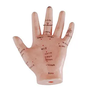 Modelo de Treinamento de Acupuntura Manual Deren <span class=keywords><strong>DRA</strong></span> 13cm PVC Anatômico - Product Image 1